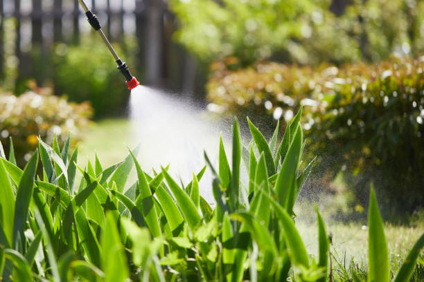 24/7 Emergency Ant Control experts in Atkinson, IL